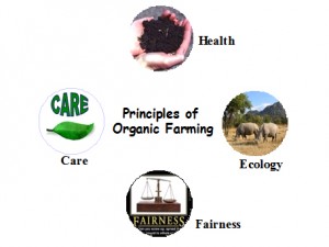 principles of organic farming