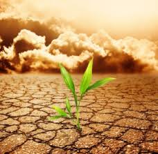 Soil Pollution – Another Raising Concern