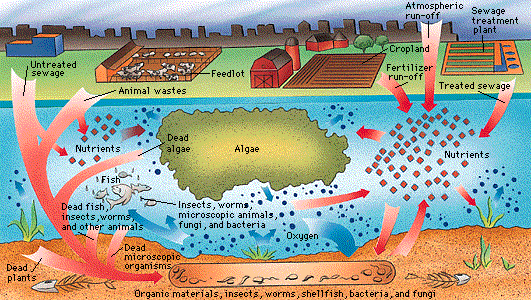 Water and Industrial Pollution