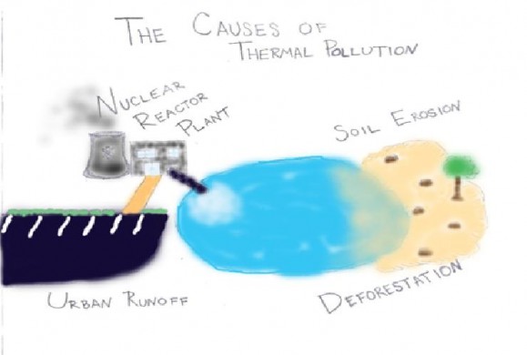 case study on thermal pollution