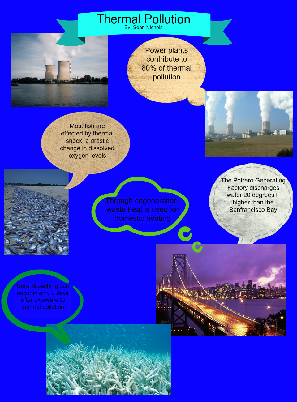 Causes Of Thermal Pollution