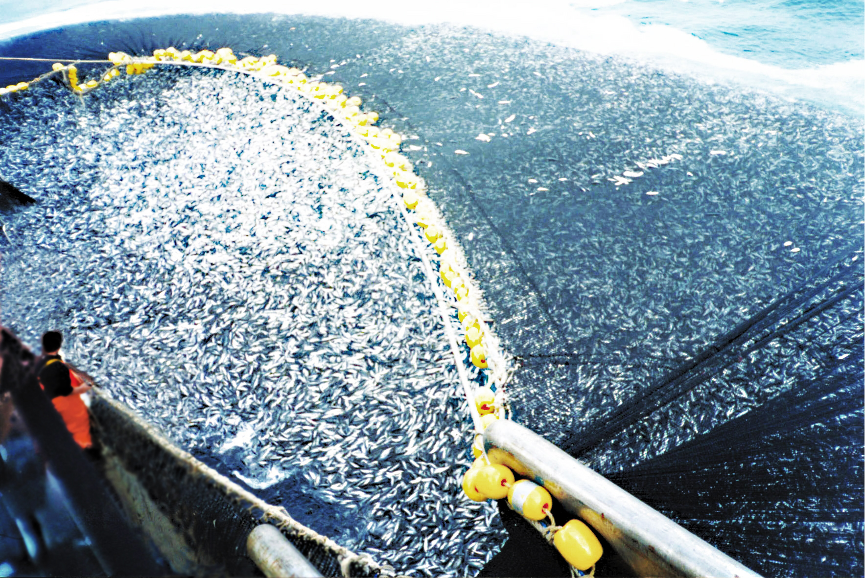 OVERFISHING – Wake up call!