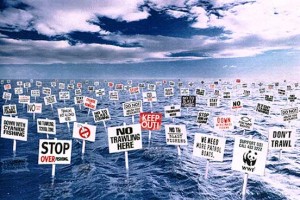 Causes of Overfishing and Ways to Mitigate it