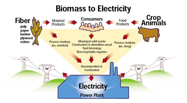 Biomass Energy: Reviving the traditional sources through Modern ...