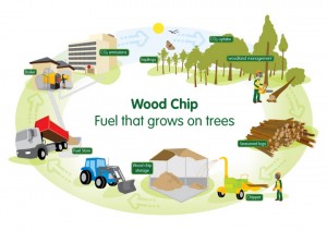 eng-woodfuel-fuel-illustration